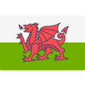 đội bóng Wales