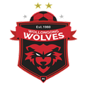 đội bóng Wollongong Wolves